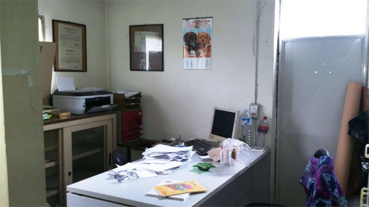  - foto 2