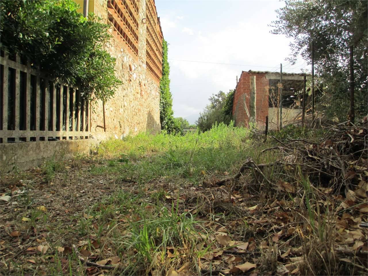  - foto 6