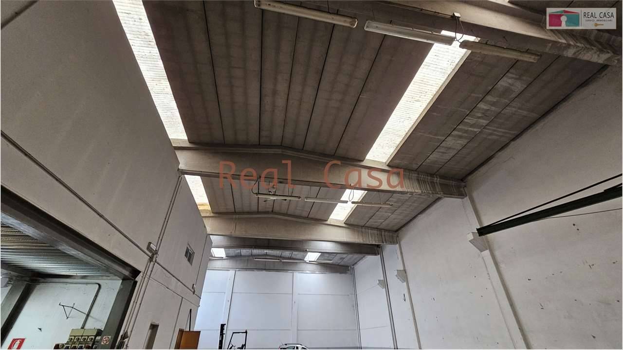 - foto 8