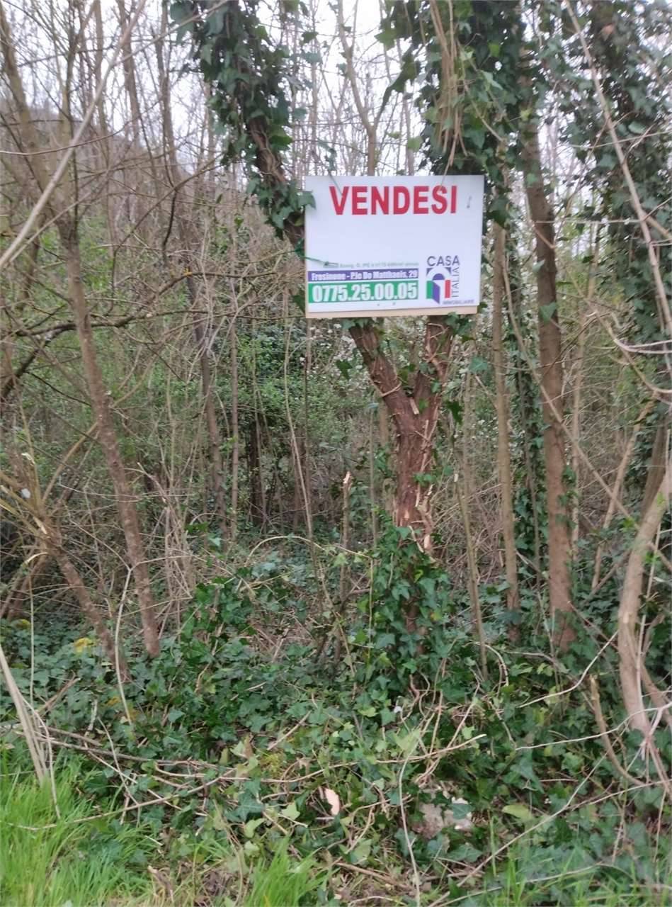  - foto 5