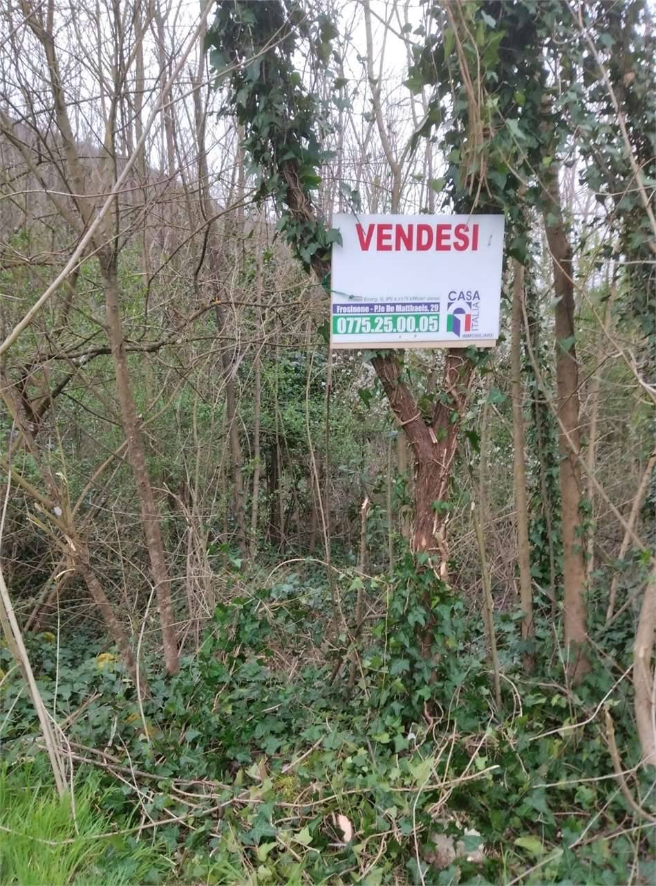  - foto 6