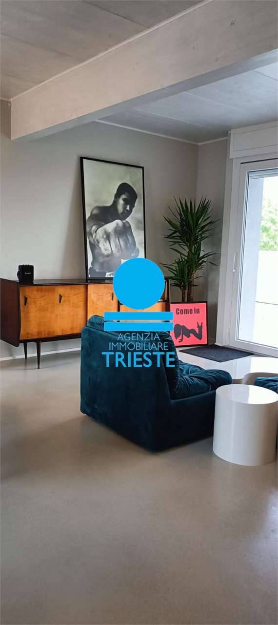  - foto 6