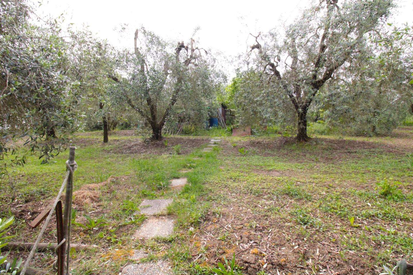  - foto 53