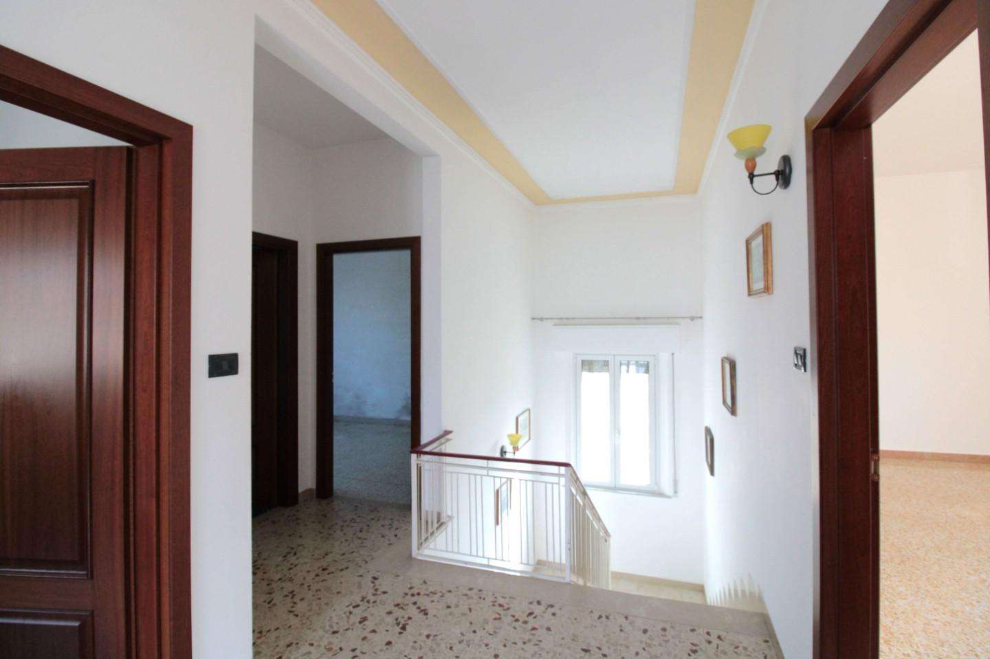  - foto 36