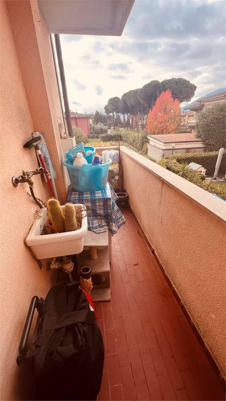  - foto 7