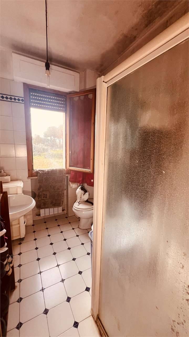  - foto 9