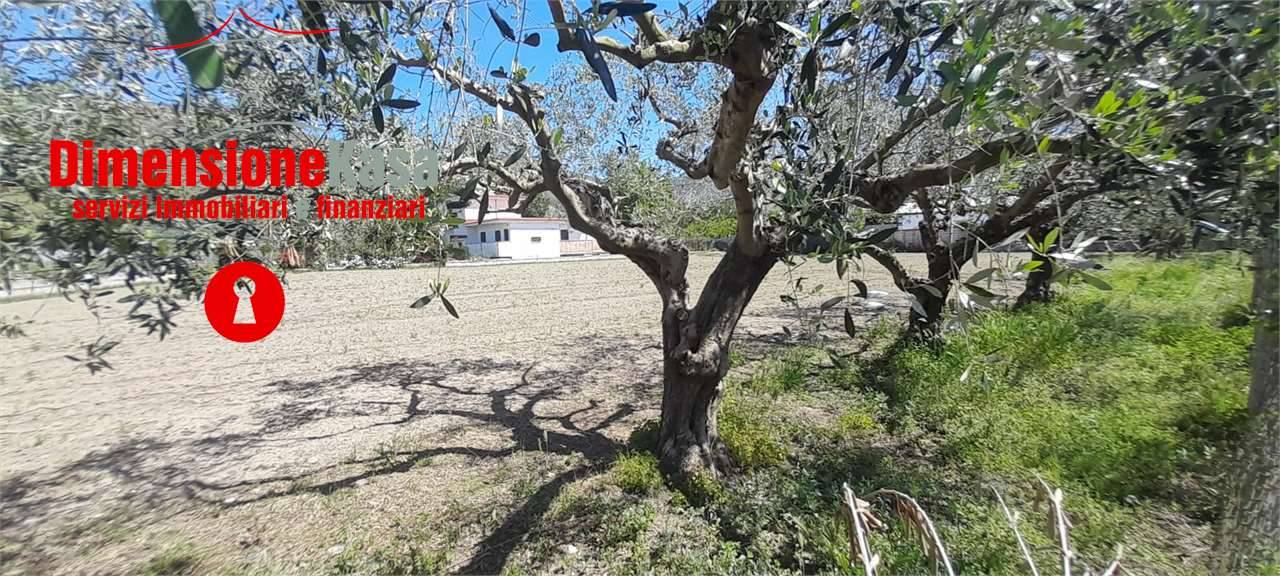  - foto 5