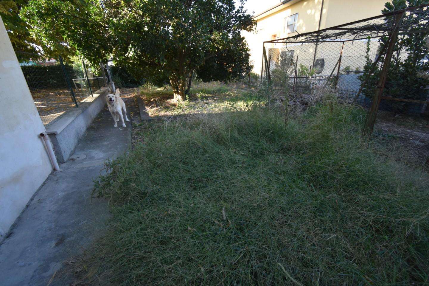  - foto 19
