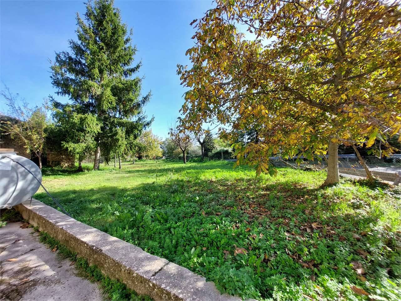  - foto 6