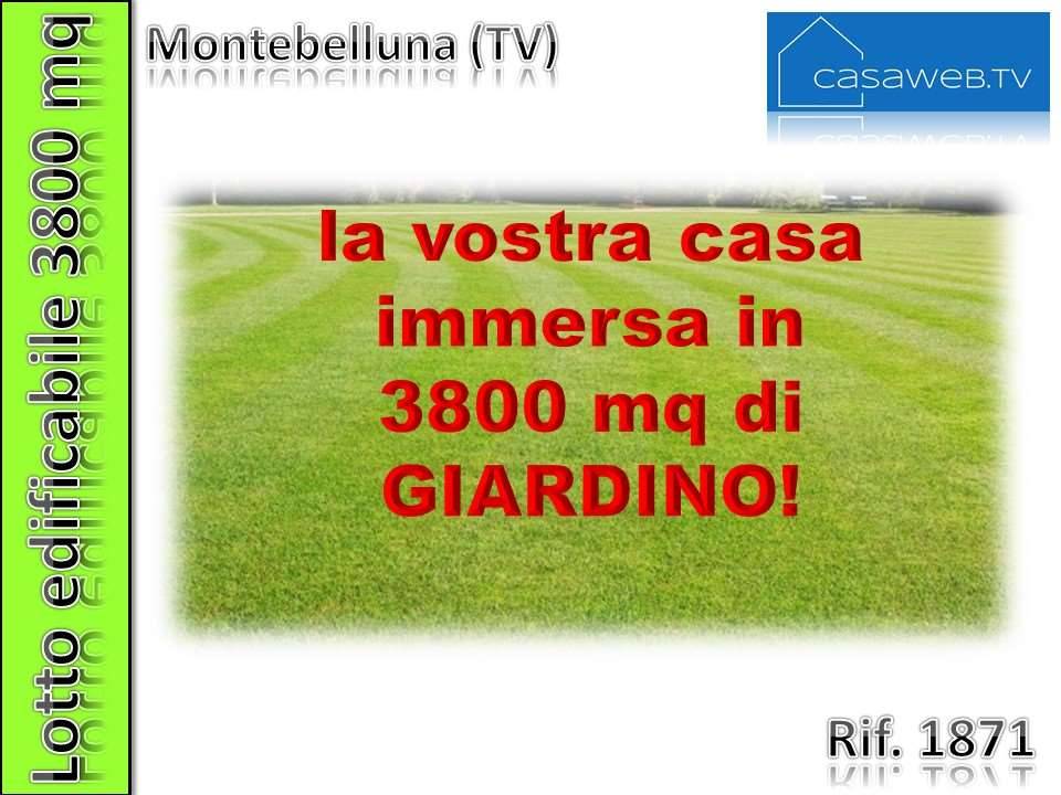  - foto 4