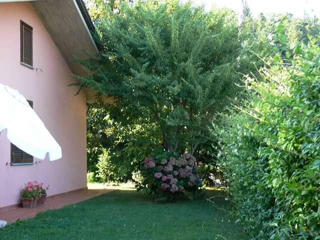  - foto 9
