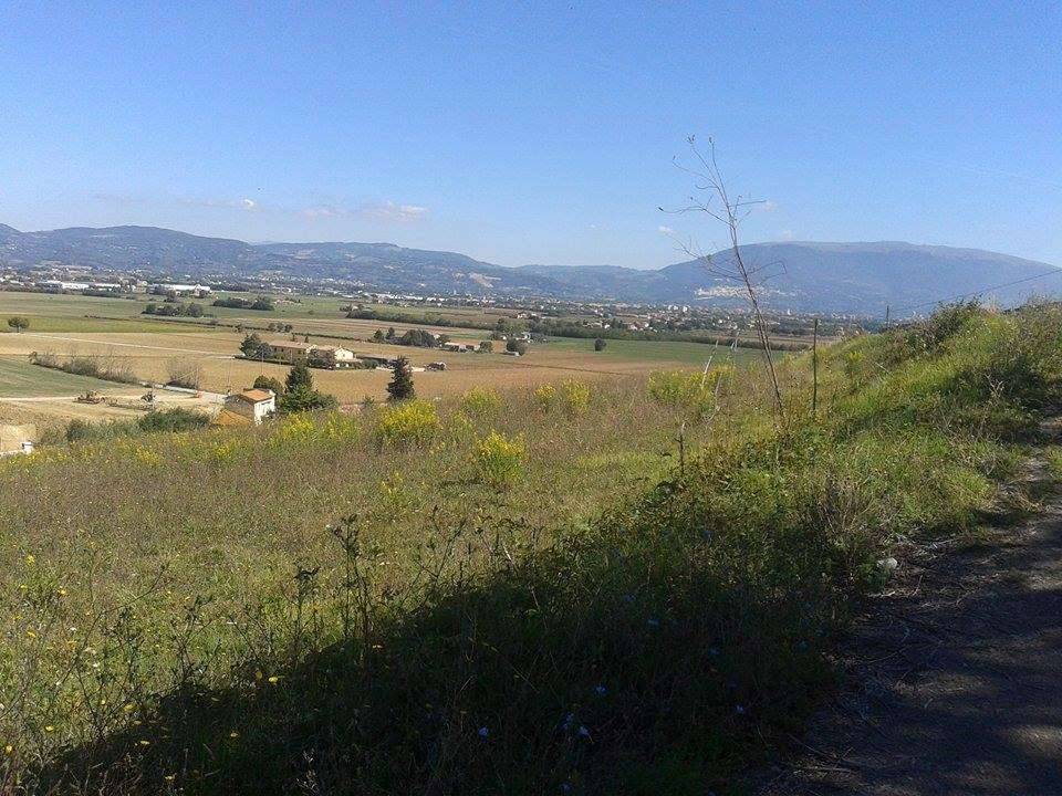  - foto 2