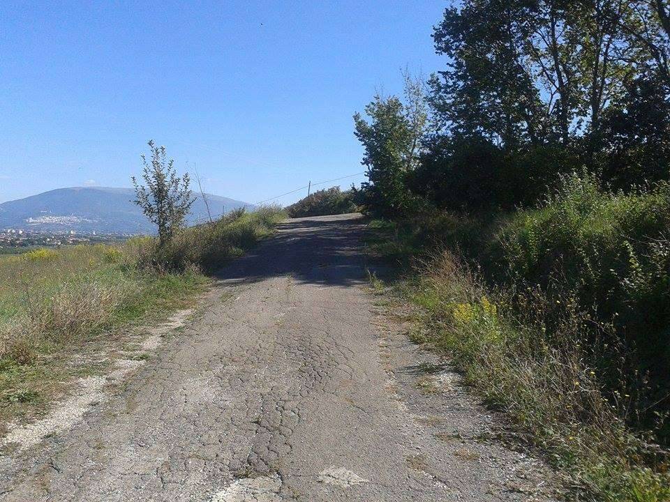  - foto 4