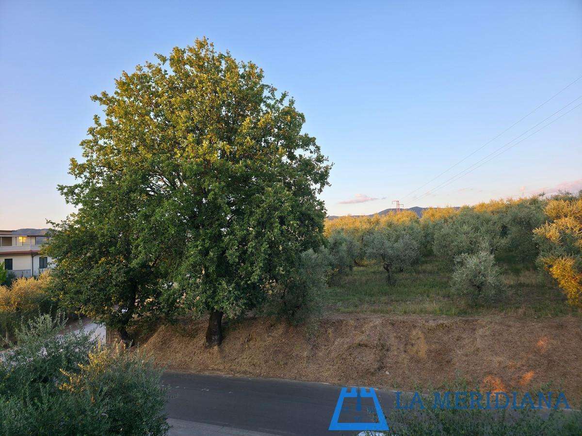  - foto 33