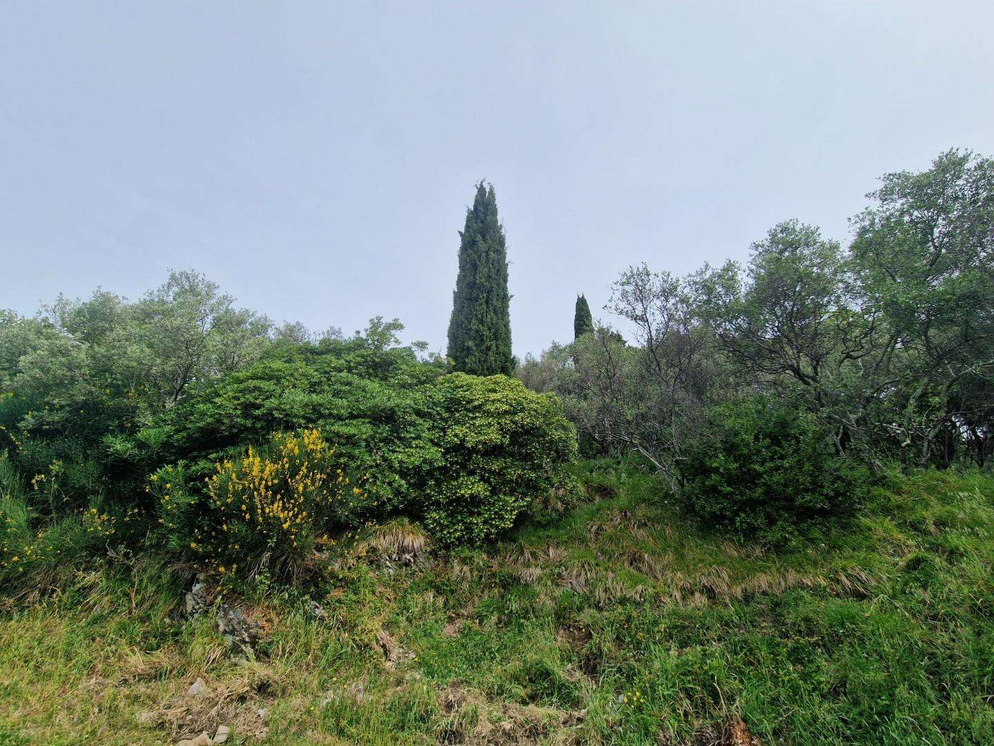  - foto 2
