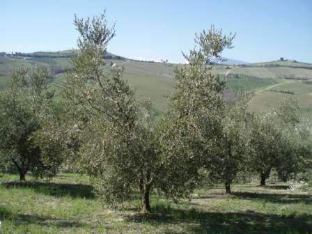  - foto 3
