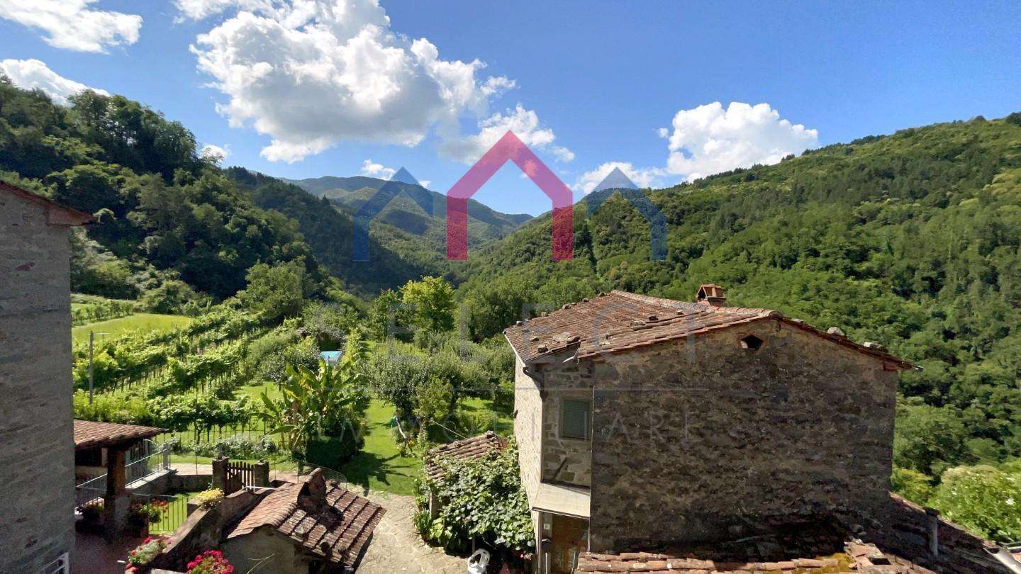  - foto 41