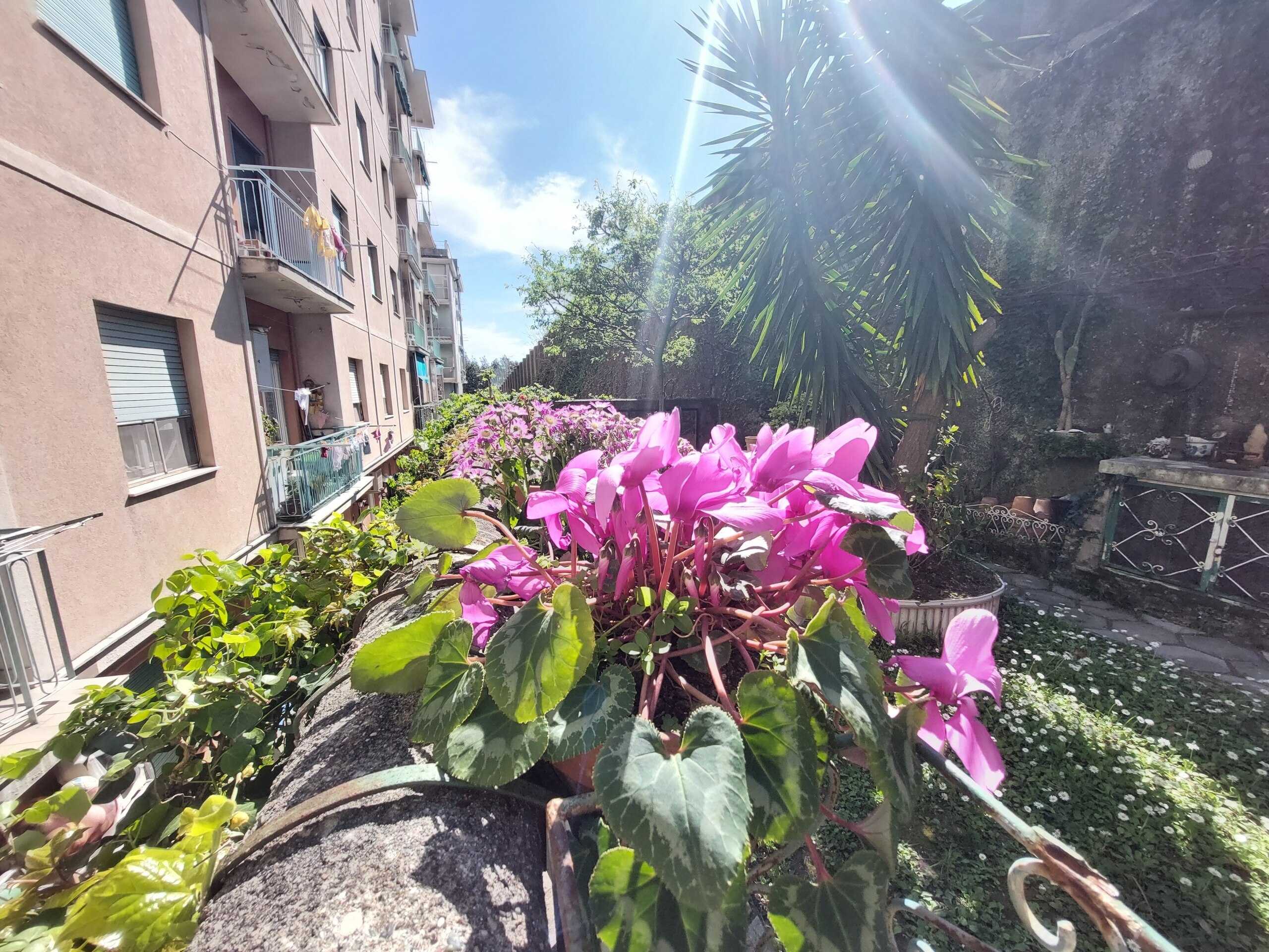  - foto 11