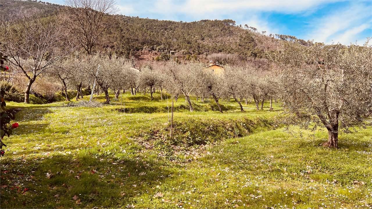  - foto 4