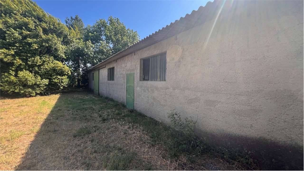  - foto 5