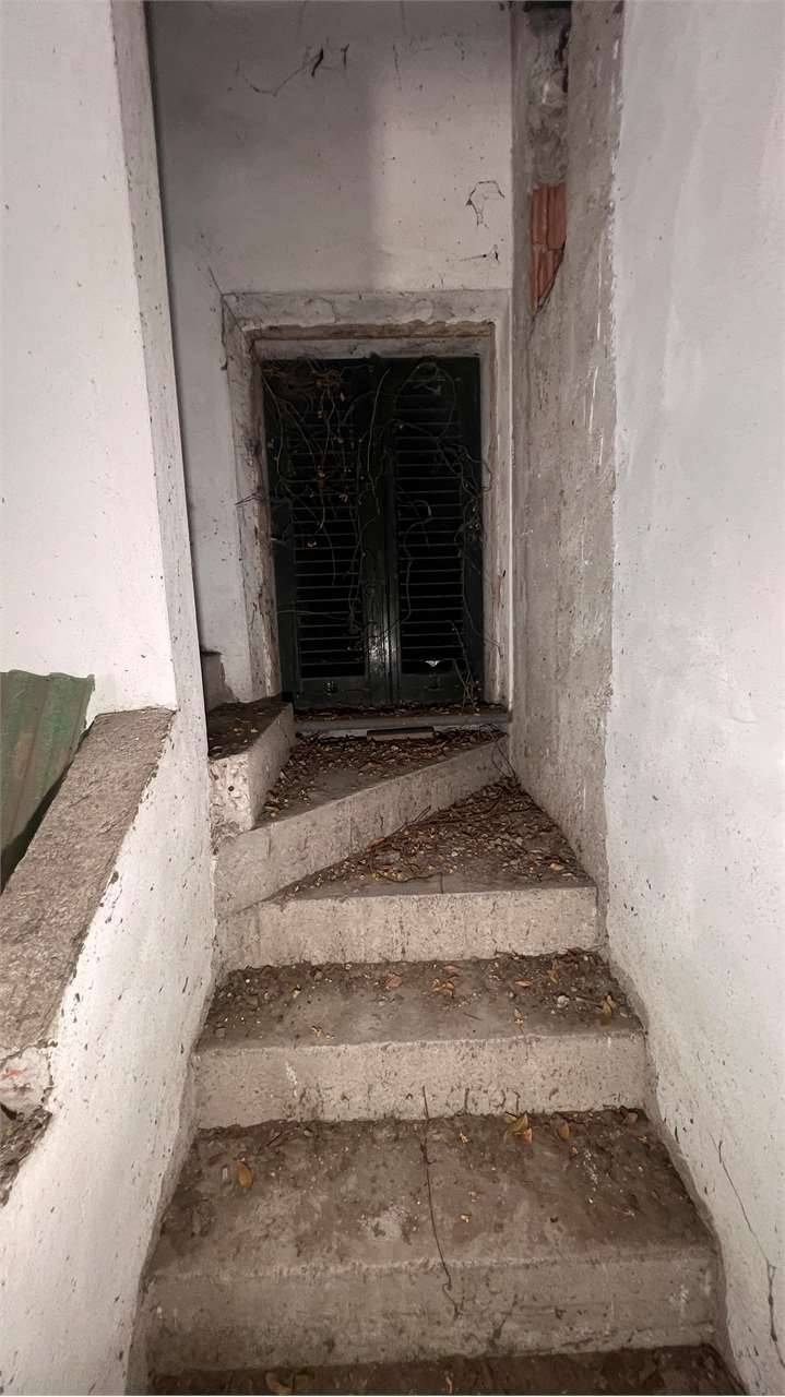  - foto 8
