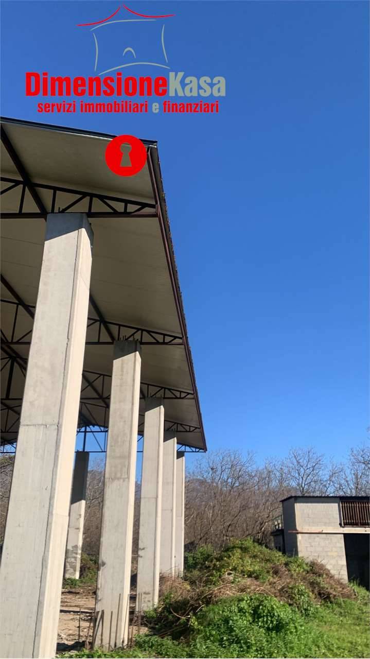  - foto 4
