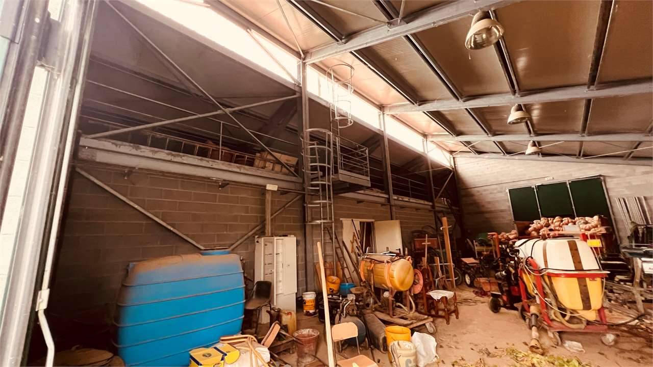  - foto 6