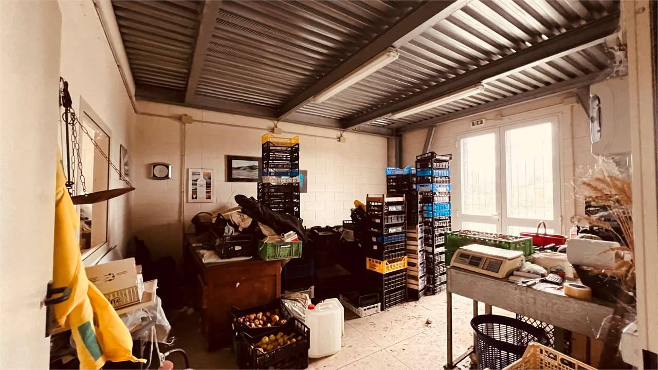  - foto 7