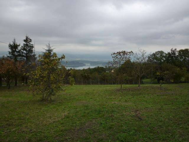 Terreno agricolo Spianate, Altopascio