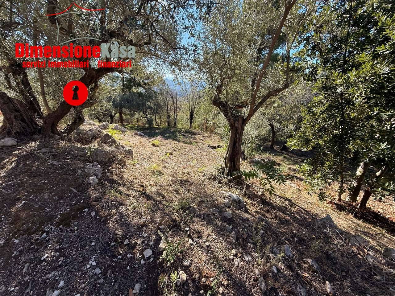  - foto 4