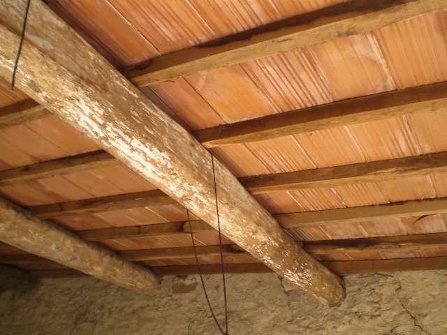 Porzione di casa Marlia, Capannori