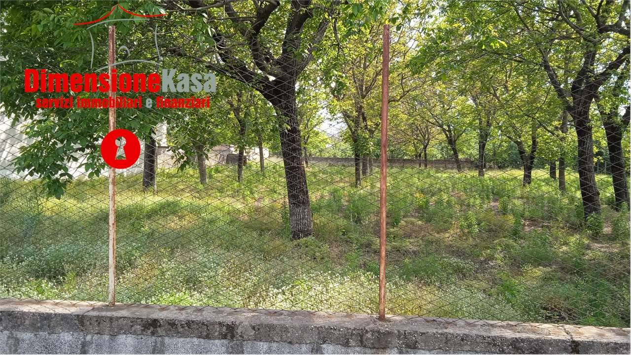  - foto 6