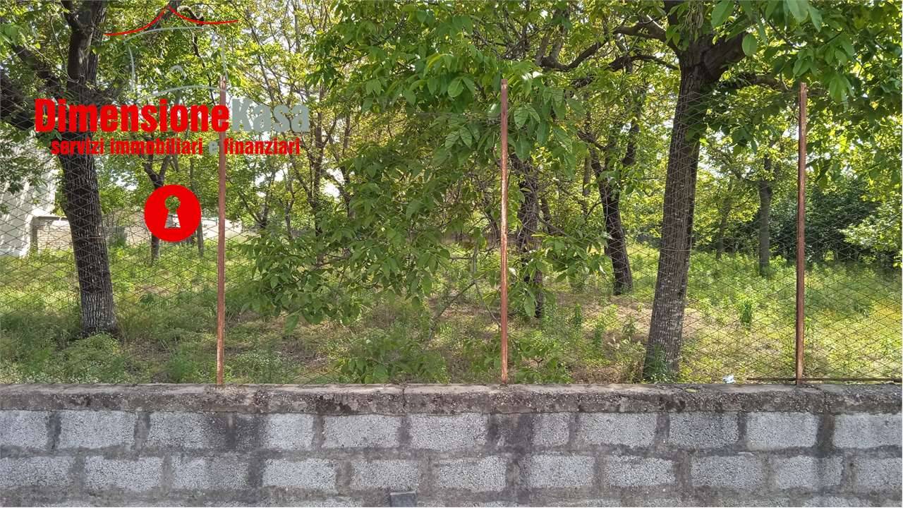  - foto 7
