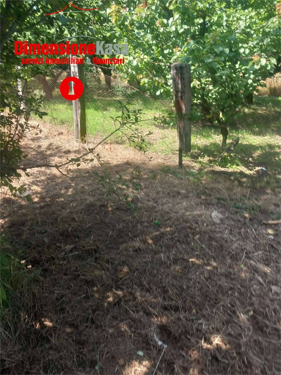  - foto 10