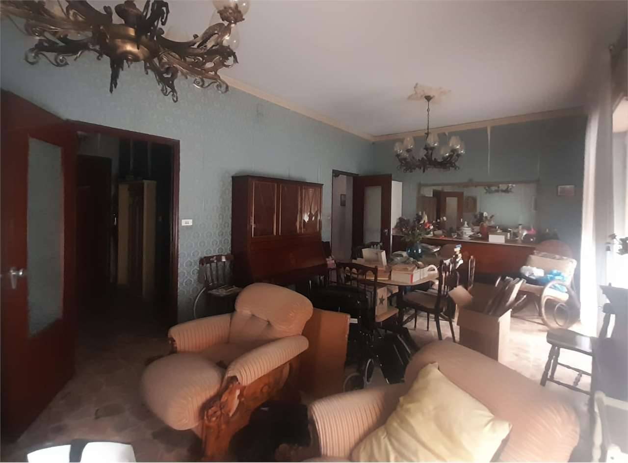  - foto 10