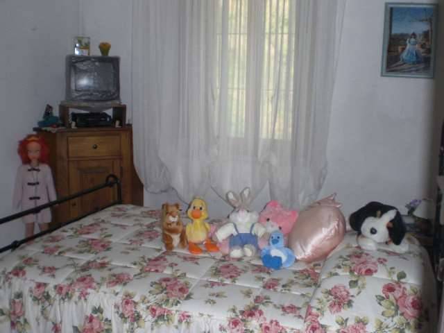  - foto 6
