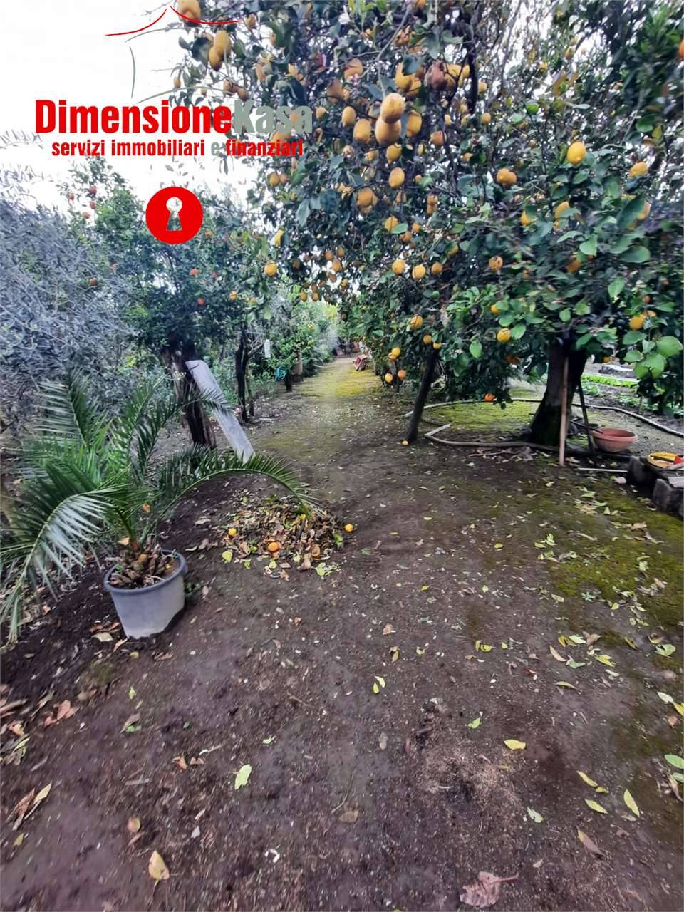 Terreno agricolo, San Felice a Cancello