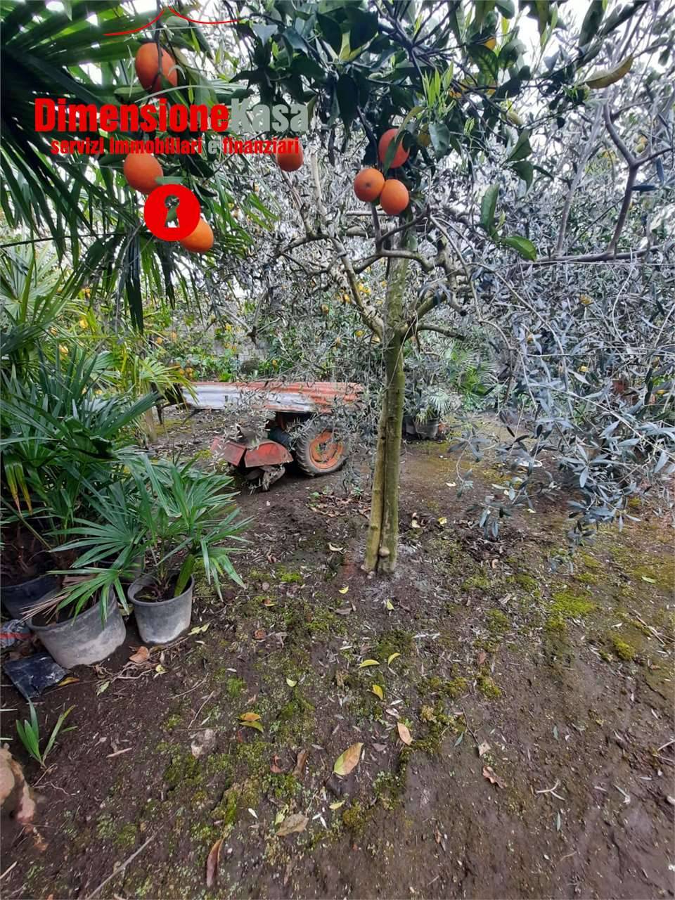  - foto 7