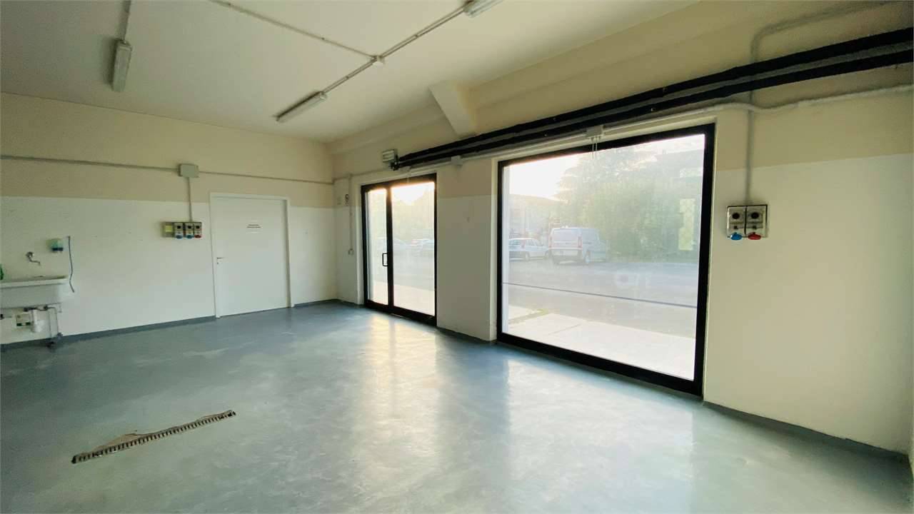 Laboratorio Segromigno in Monte, Capannori