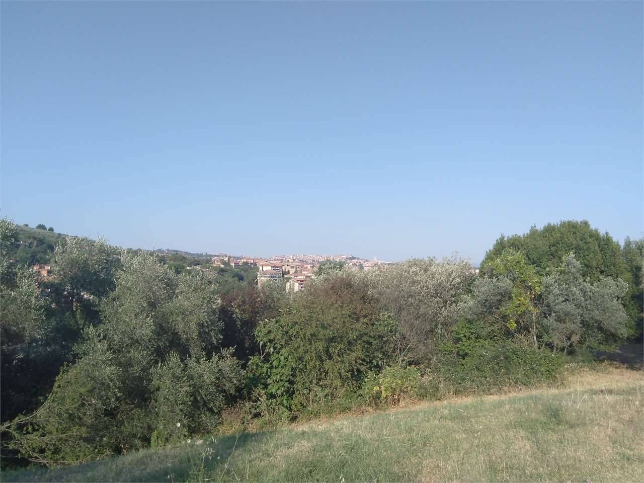  - foto 7
