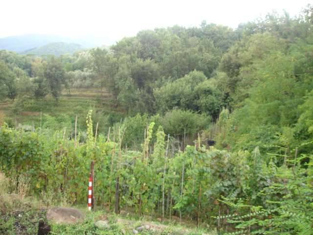  - foto 2