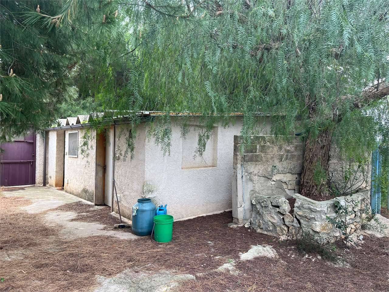  - foto 2