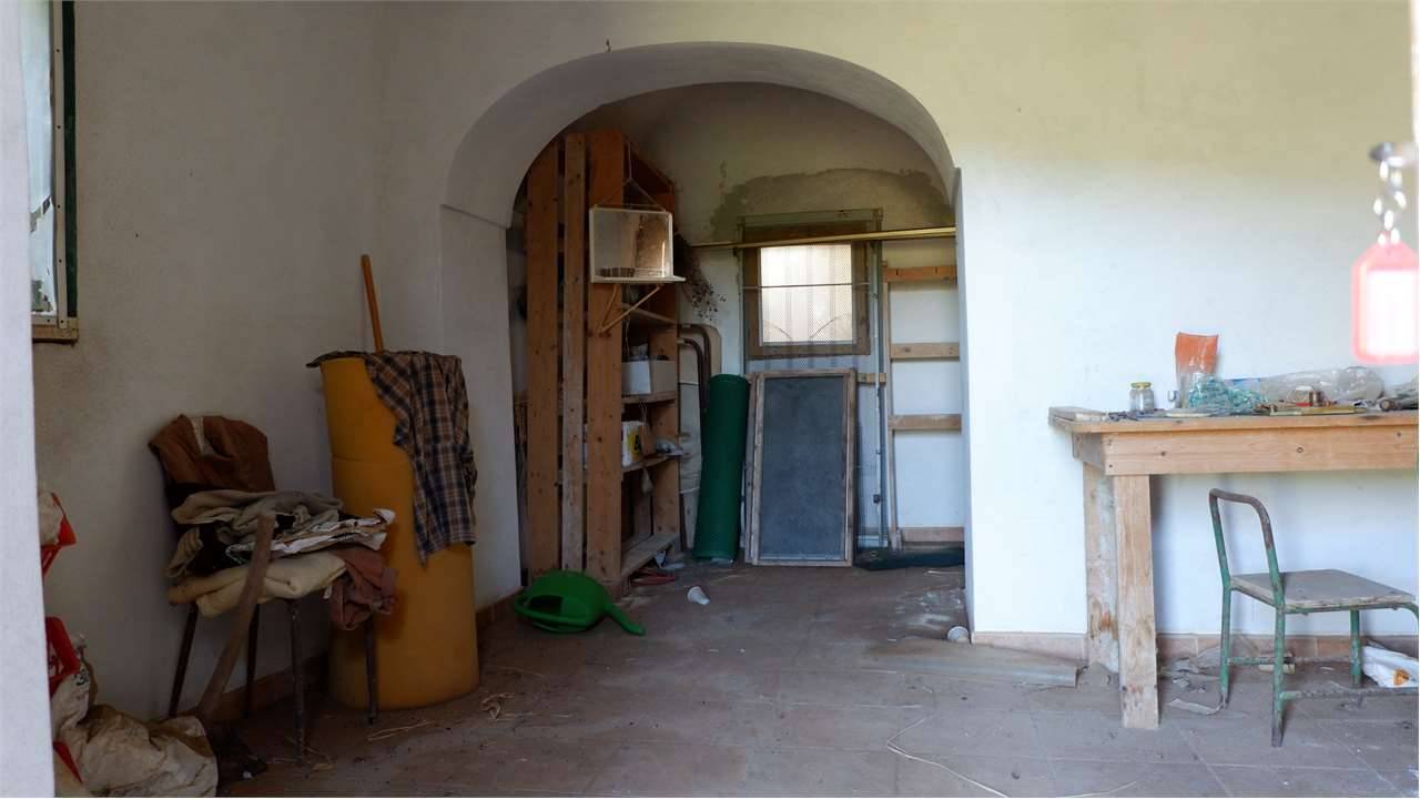  - foto 9