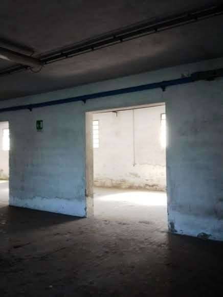  - foto 5
