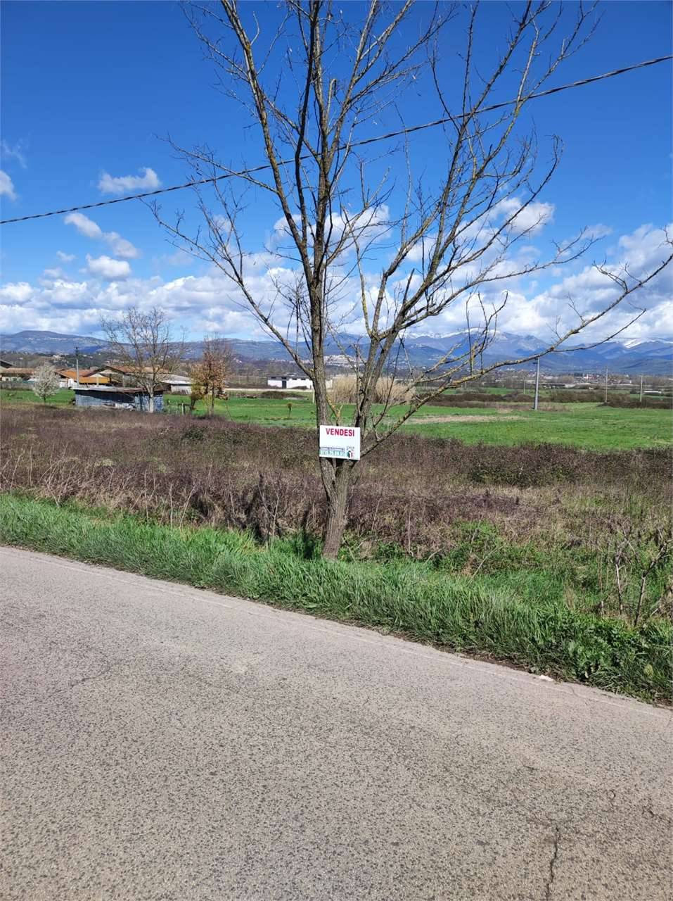 Terreno agricolo, Morolo