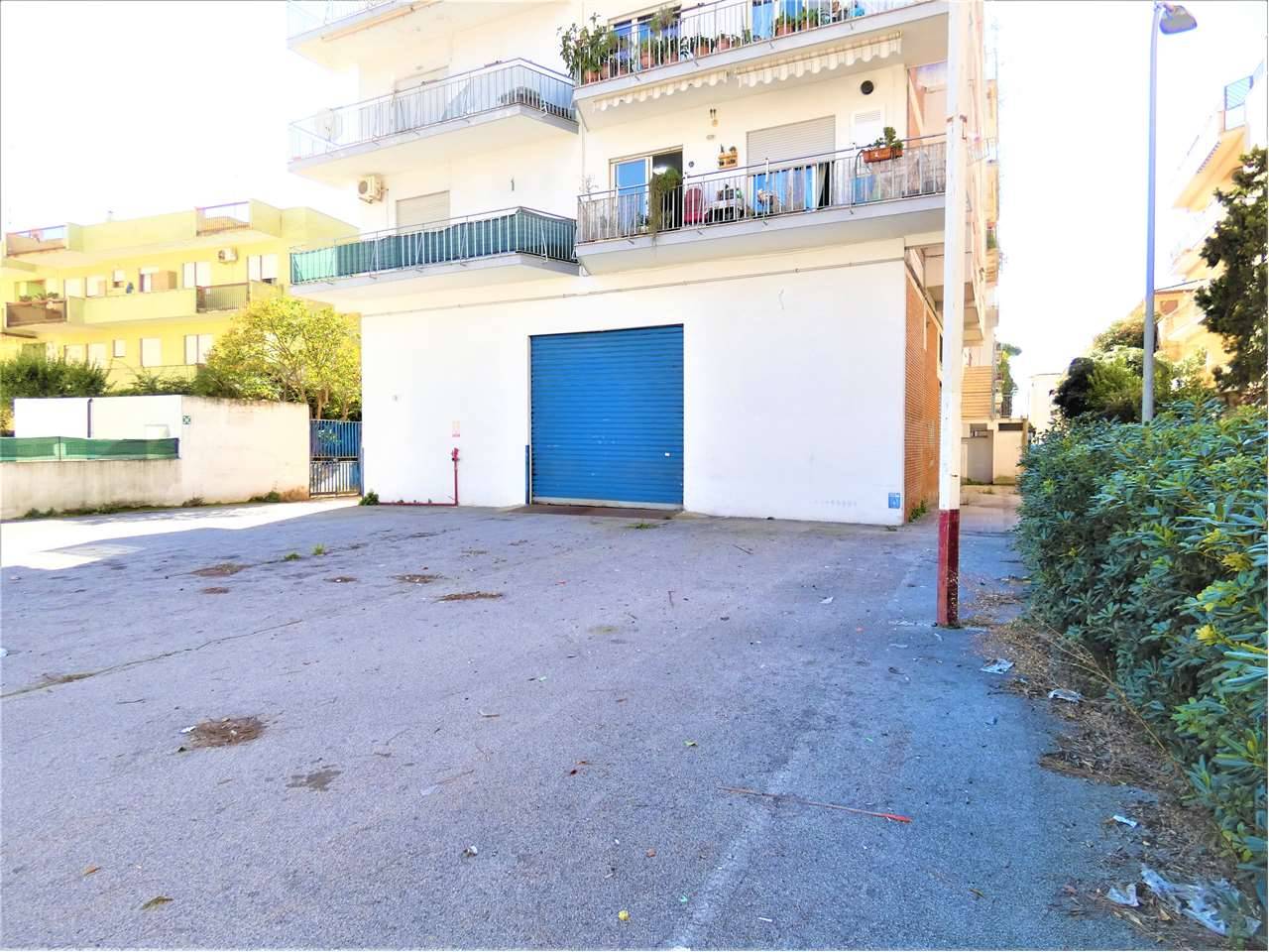 Negozio, Terracina