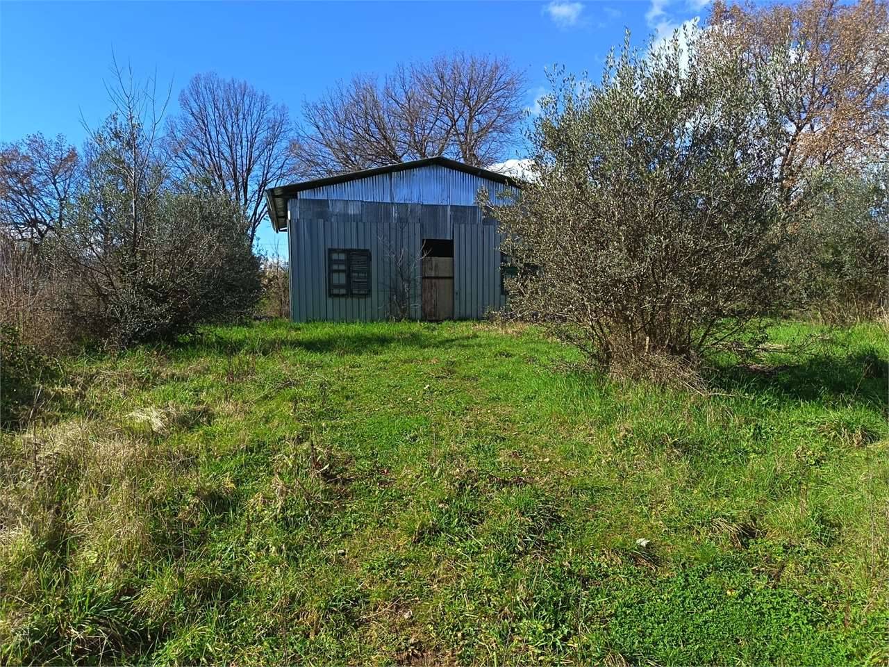  - foto 4