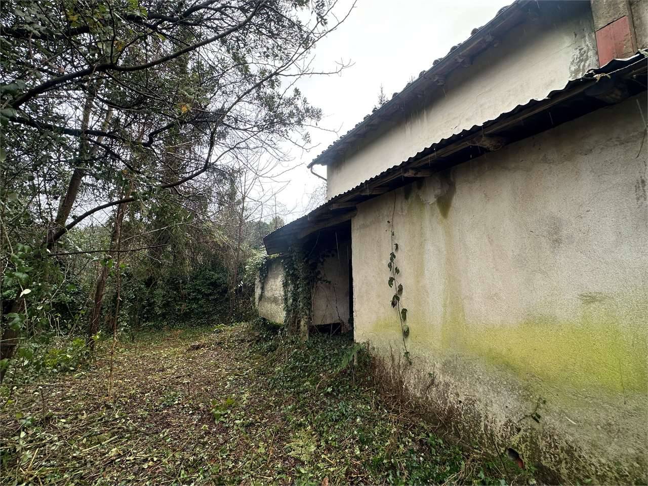  - foto 6