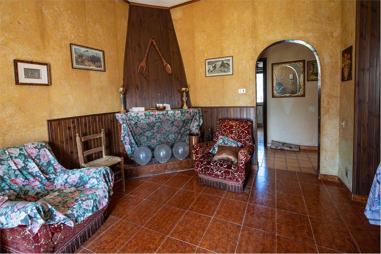  - foto 5