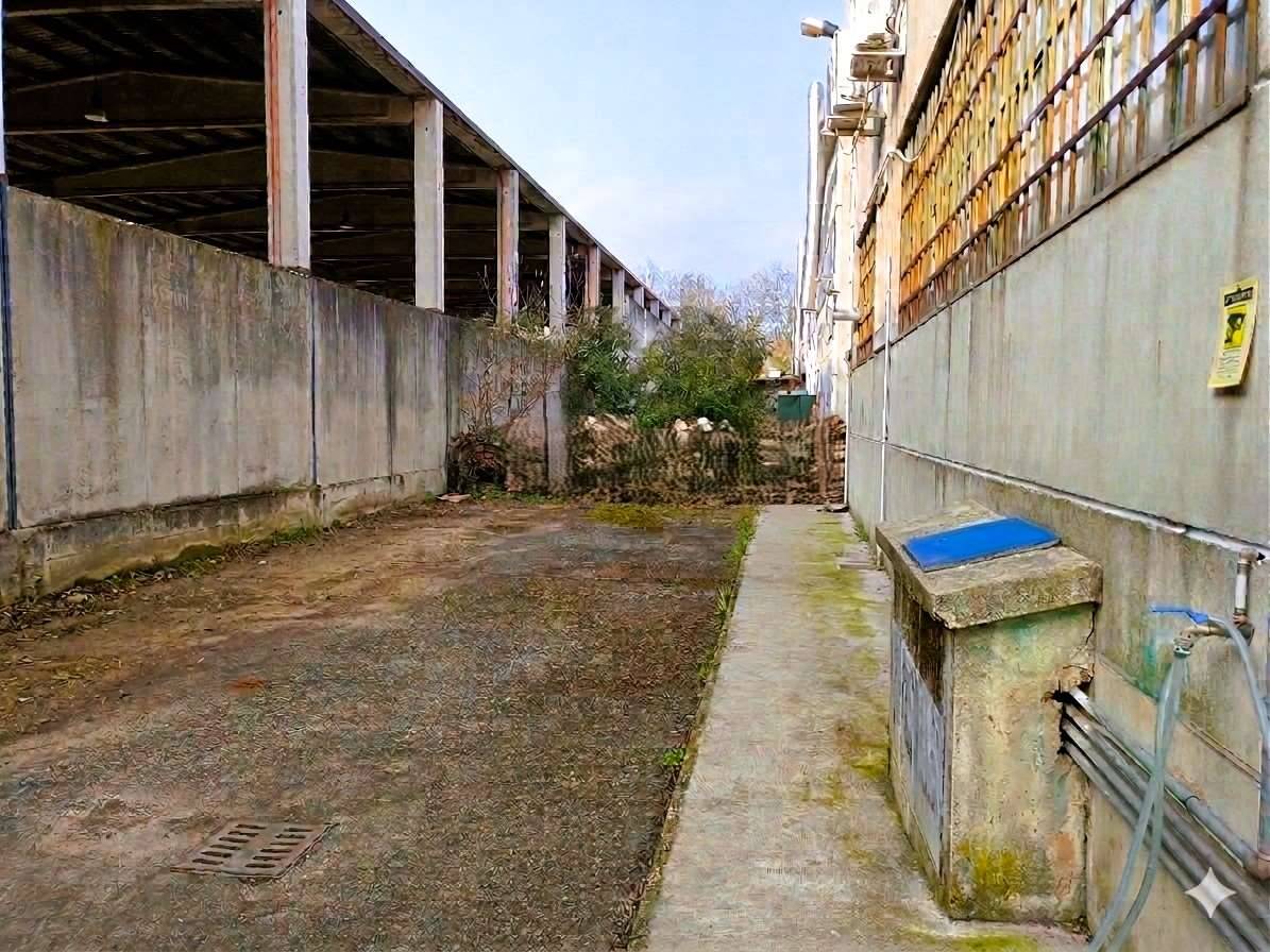  - foto 8